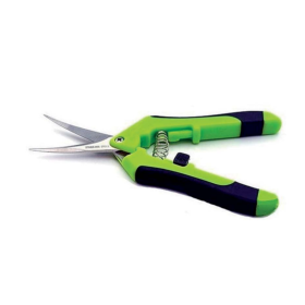 Curved Tip Scissors by AFG